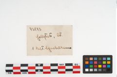 Foto von Tonschnabelkanne (NHMW-PRAE-073873)
